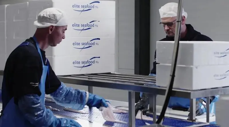 Elite Seafood & Wisefish