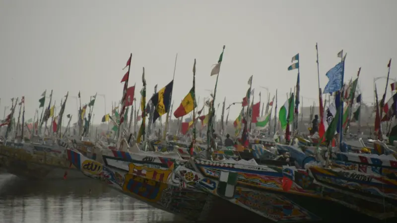 Fishing fleet, Senegal