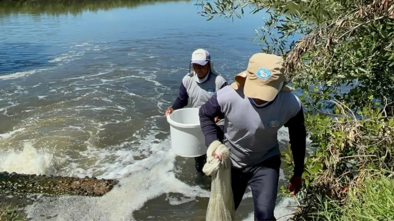 Shrimp farmers in Honduras undergo welfare training