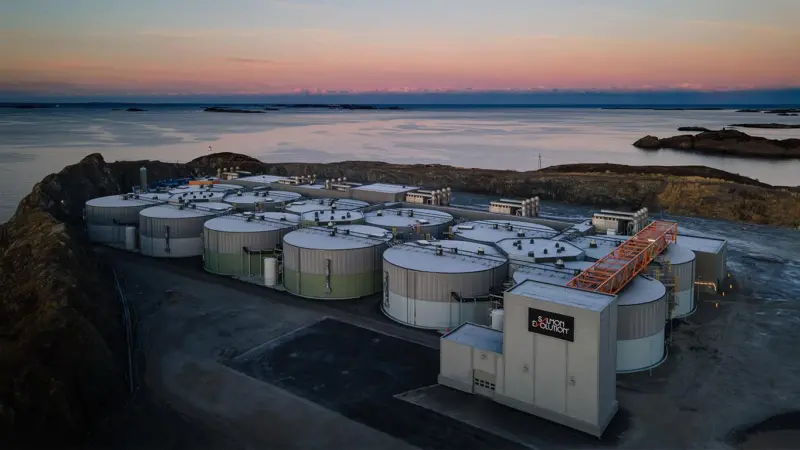 Salmon Evolution's Indre Haroy site in Norway