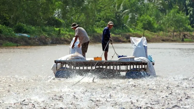 Fishermen in the Mekong delta in Vietnam