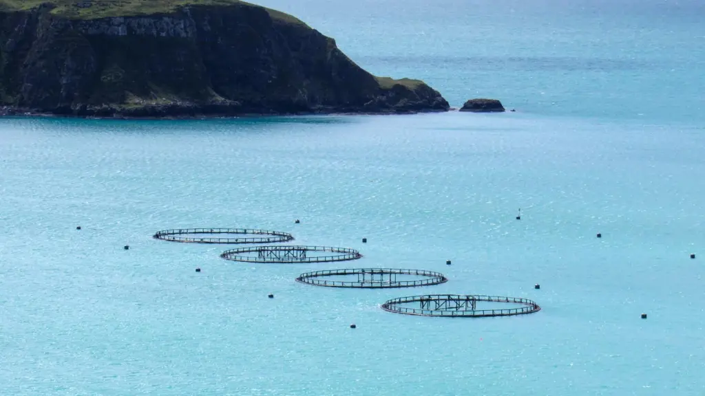 Scottish fish farm