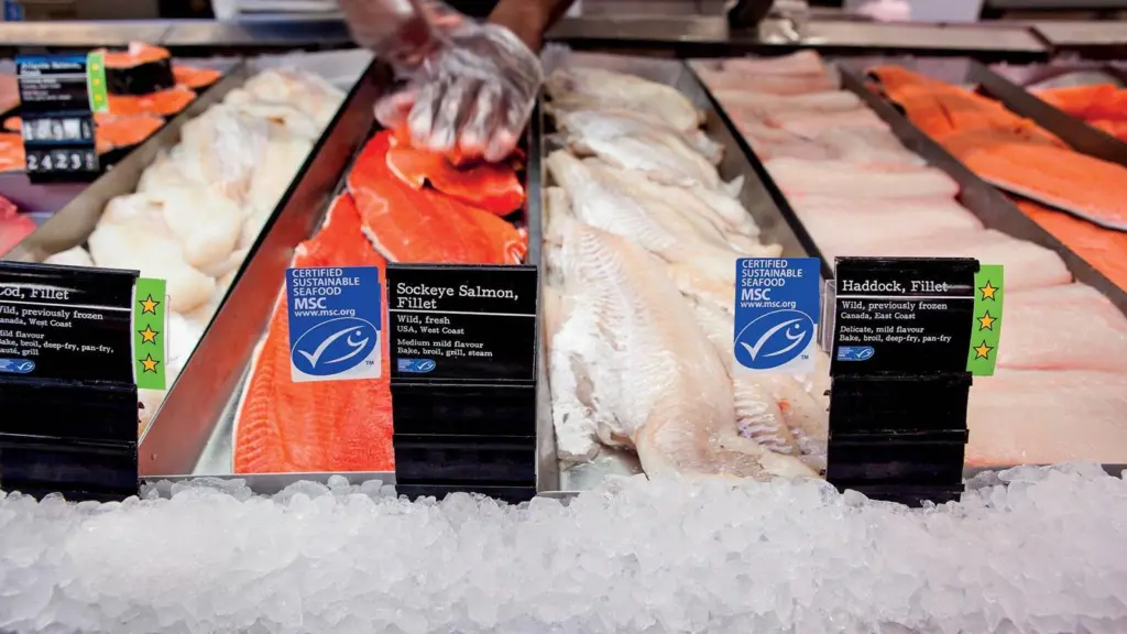 MSC fish