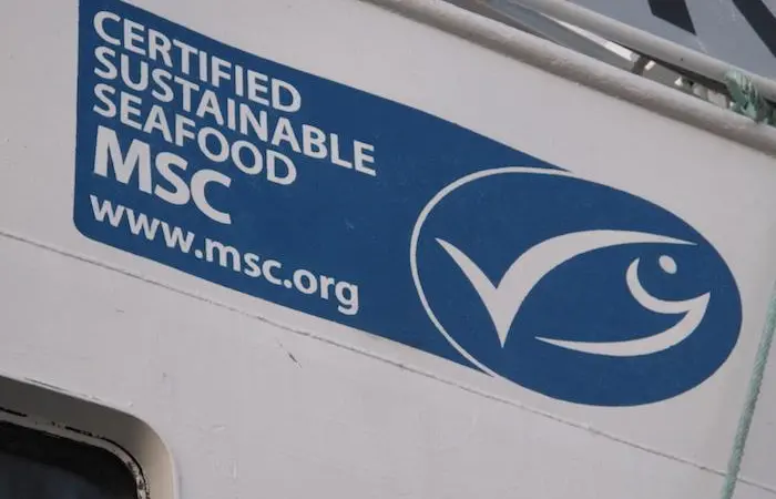 MSC
