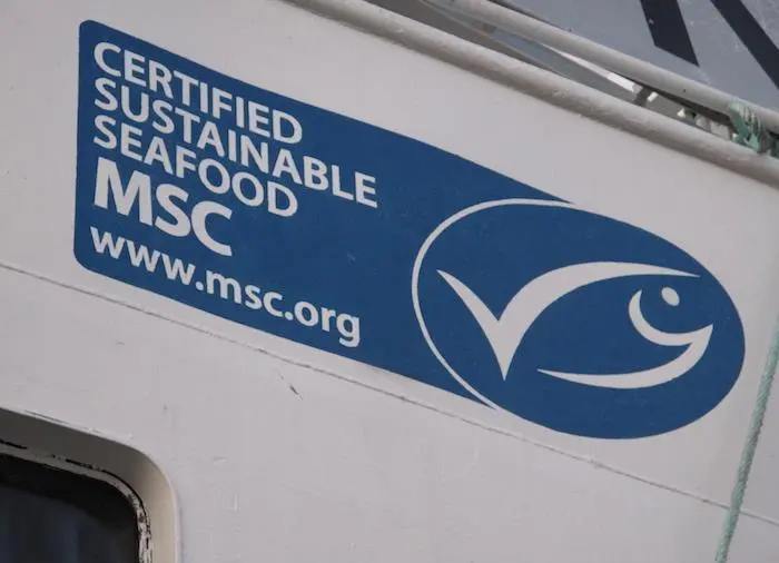 MSC