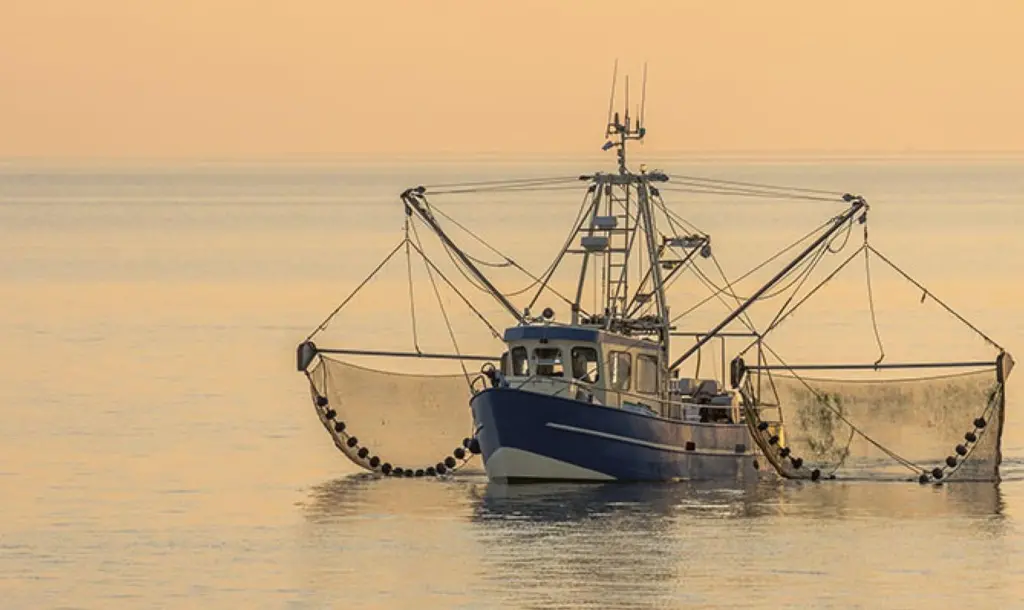 EU trawler
