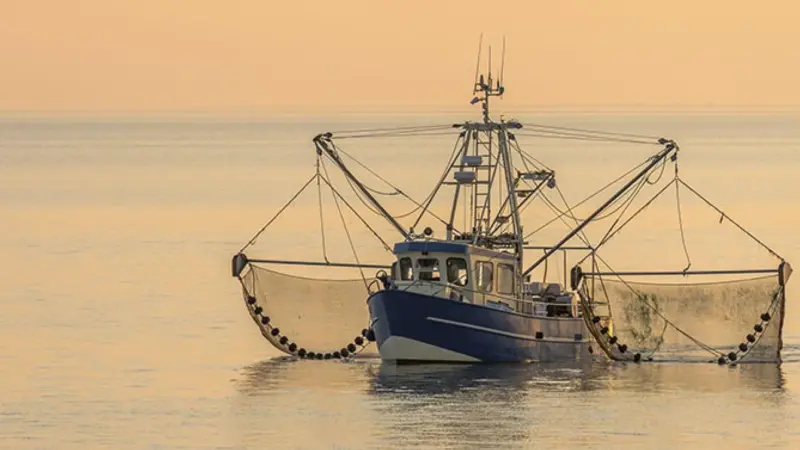 EU trawler