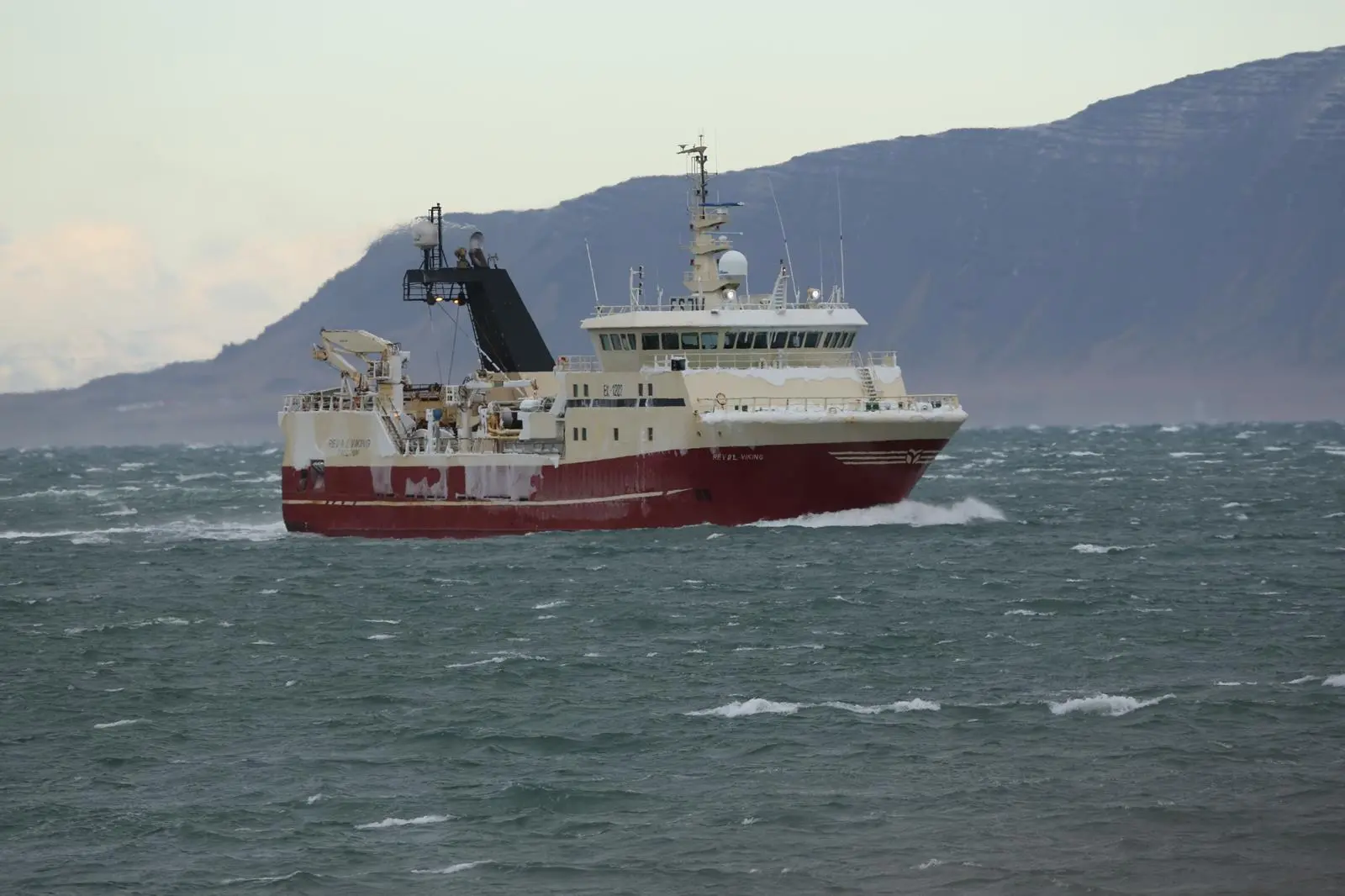 Reval Viking
