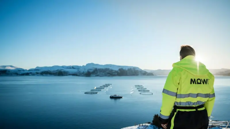 A worker dressed in a yellow high vis jacket is pictured overlooking a Mowi offshore fish farm