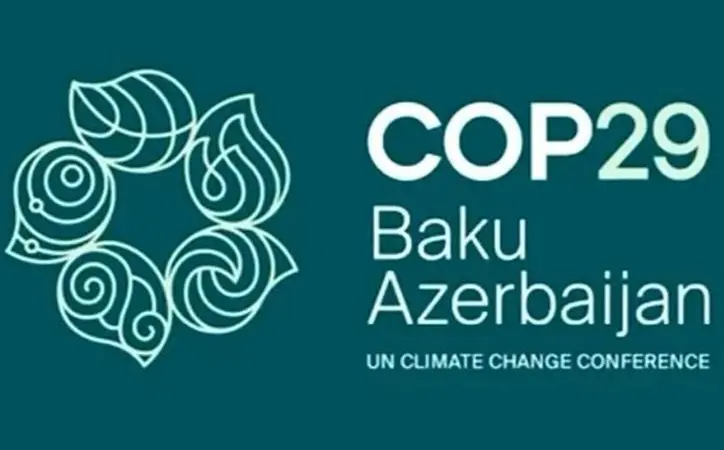 COP29