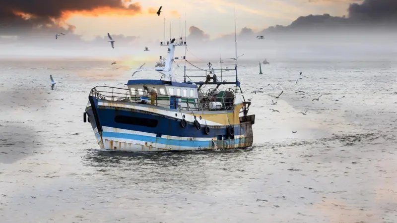 UK fishing