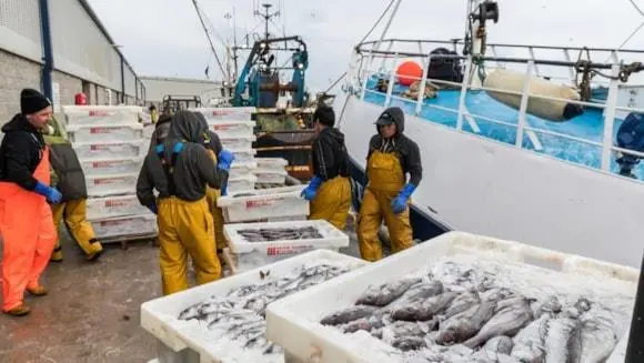 Fishermen unloading catch from a docked vessel
