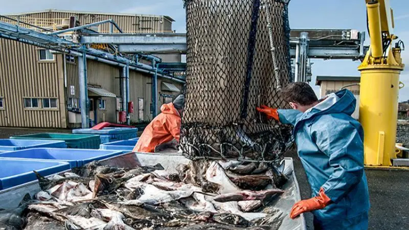 US fish unloading