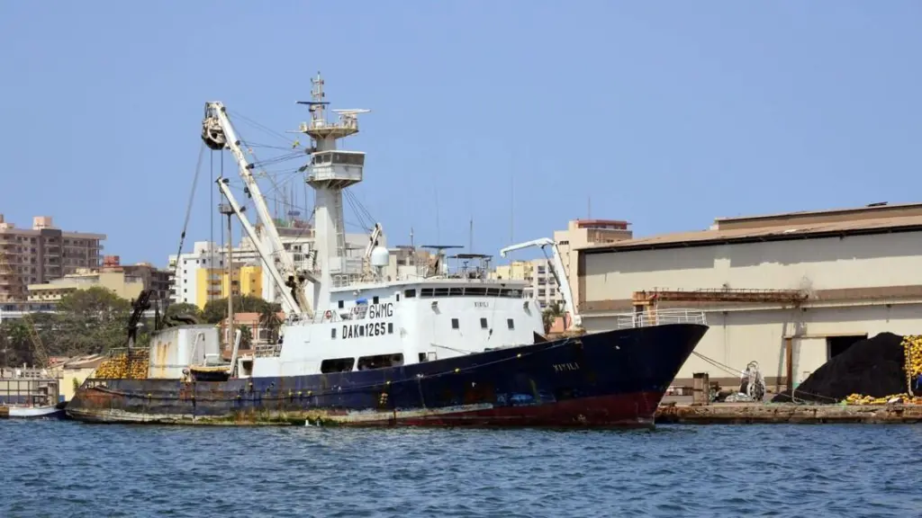 MSC Tuna Dakar