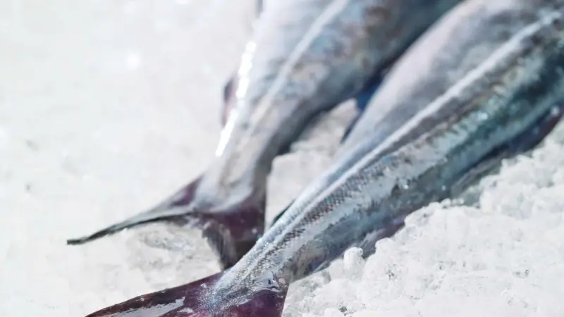 Iceland haddock