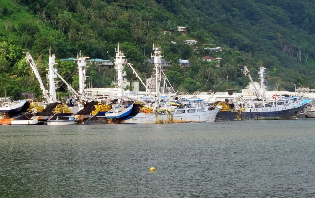 Pacific Ocean tuna boats