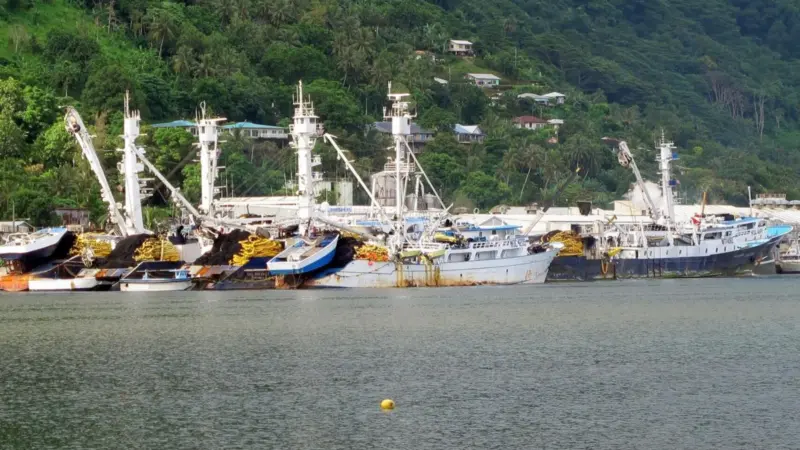 Pacific Ocean tuna boats