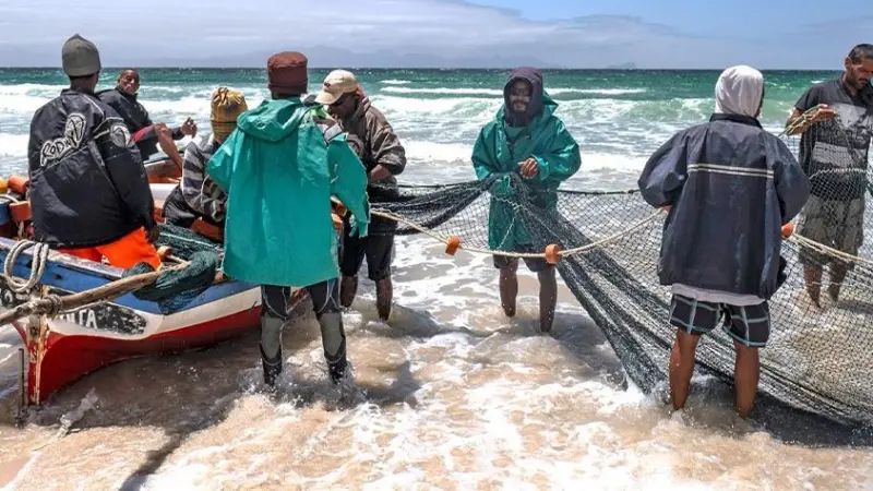 FAO fisheries