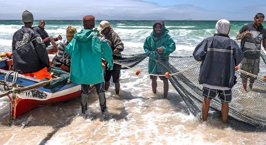 FAO fisheries
