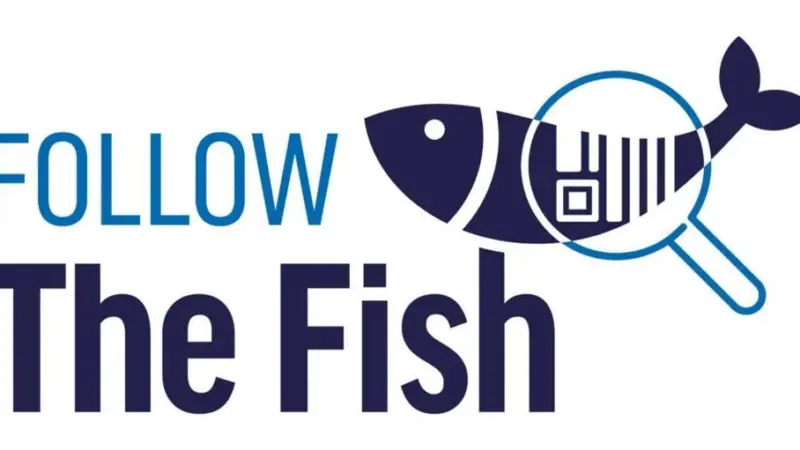 Follow the Fish