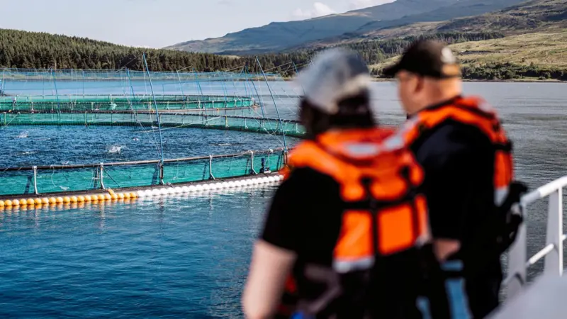 Scottish Sea Farms, Fishnish