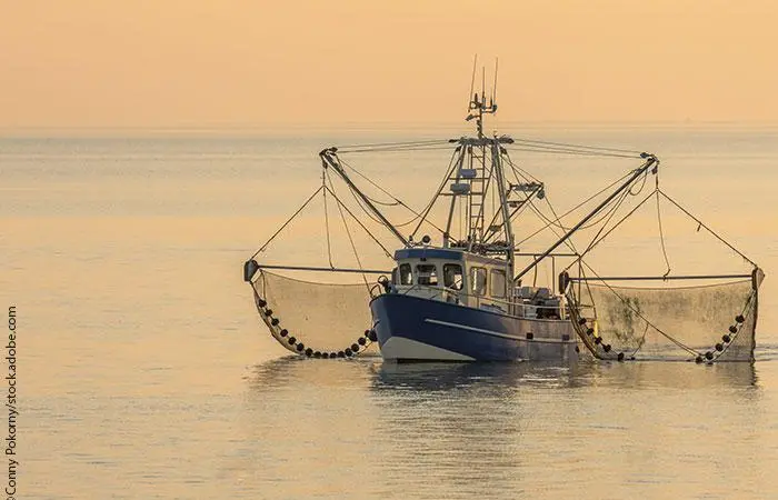 fishing vessel at sea