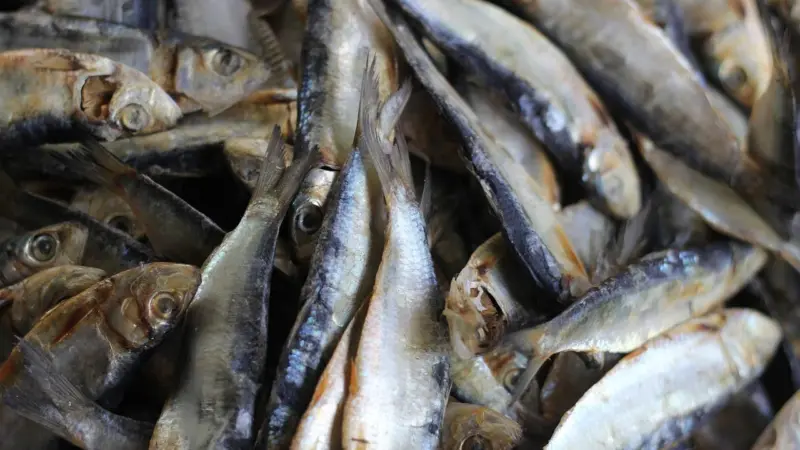 The picture shows dried herring