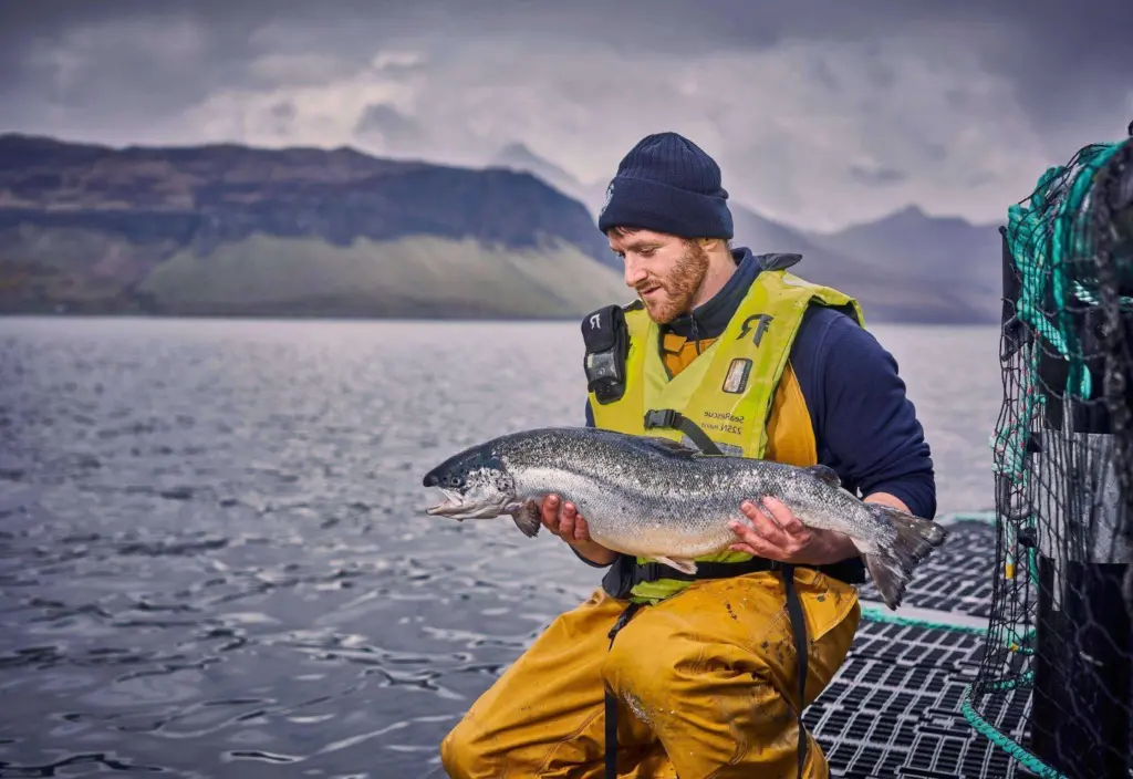 Bakkafrost salmon