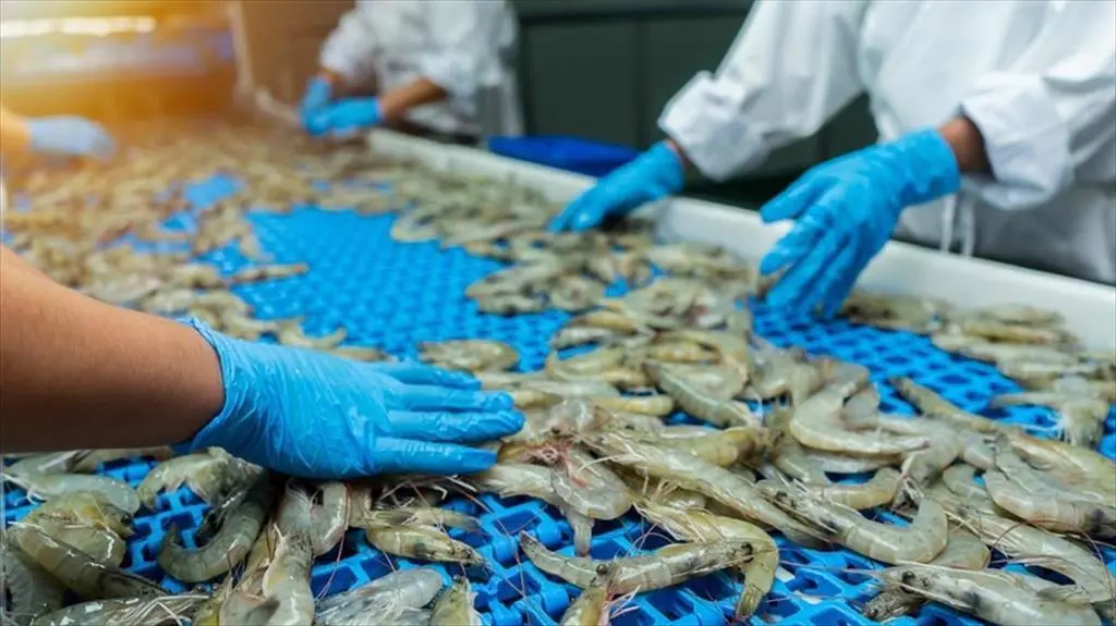 Vietnamese shrimp processing