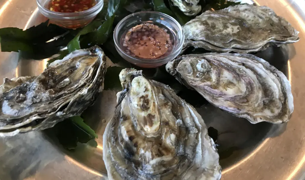 Oysters