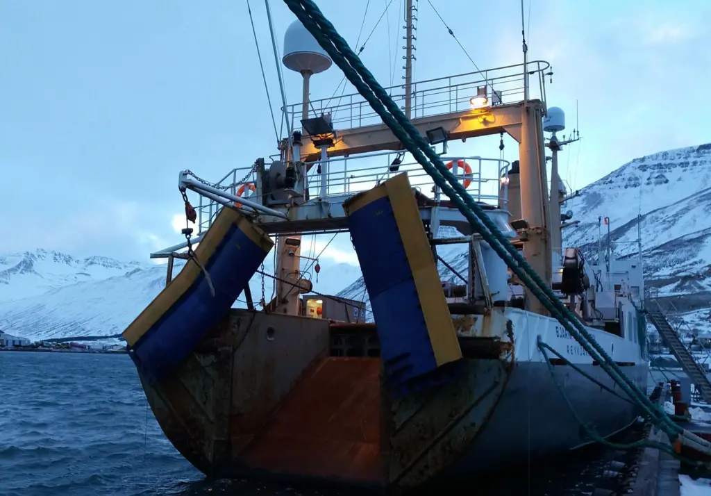 Iceland fishing