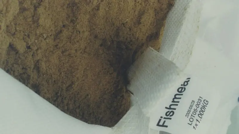 Fishmeal