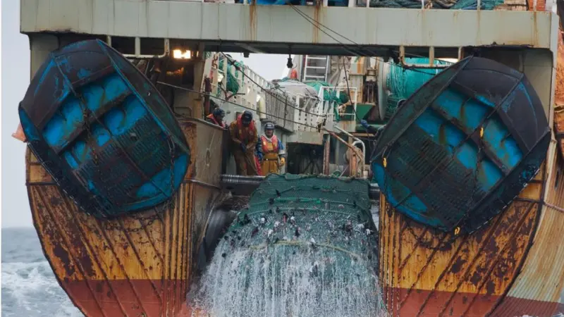 The image shows a fishing trawler supplied by BLOOM