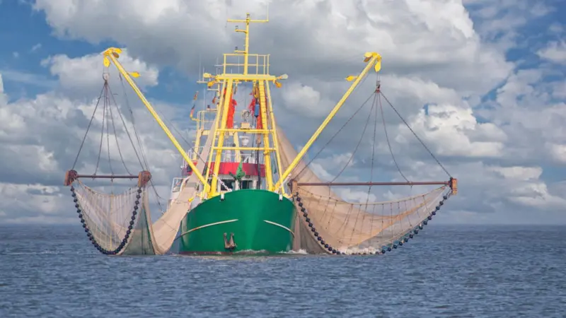 bottom trawler