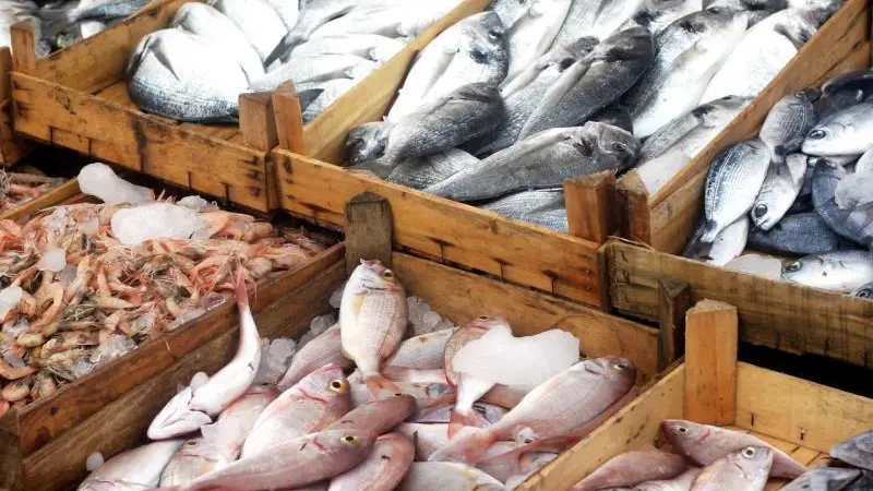 US seafood imports