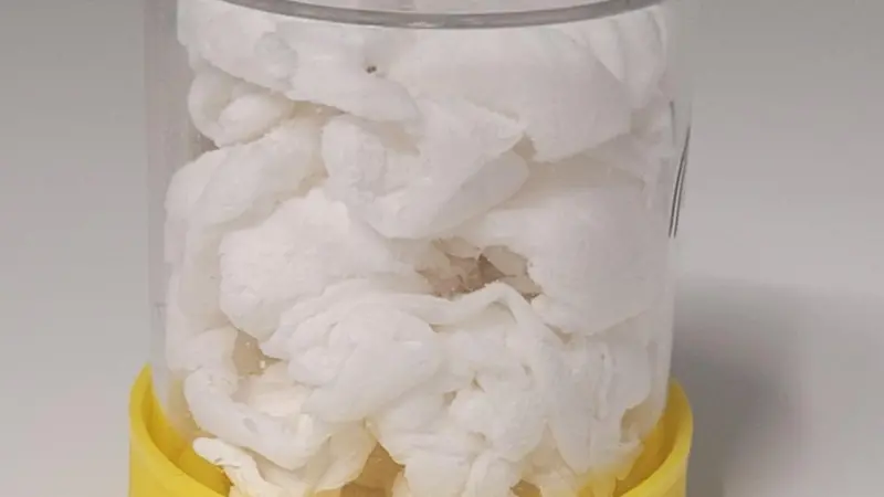 Collagen foam
