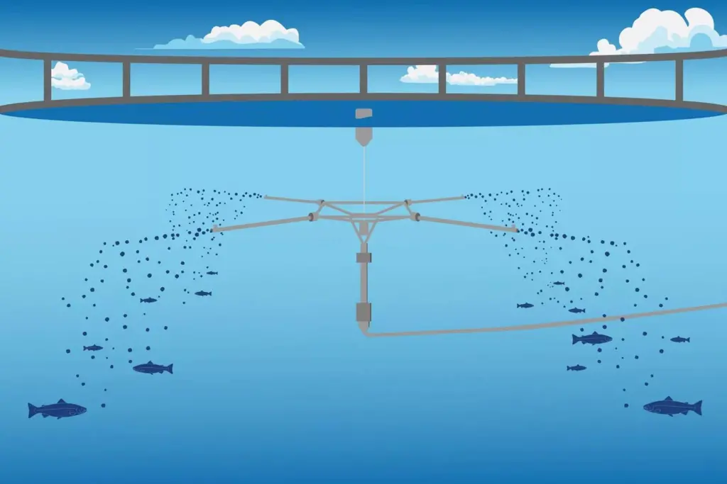 Waterborne feeding in a fish pen illustration