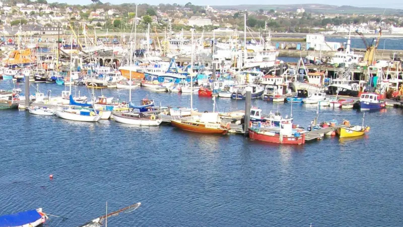 English fisheries