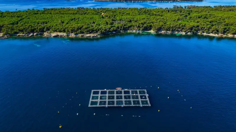 Aquafrais Cannes farm