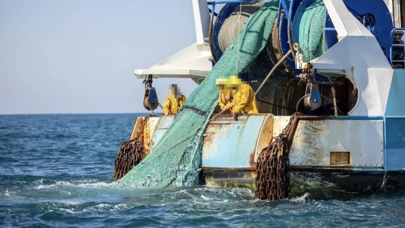 Protect Our Catch