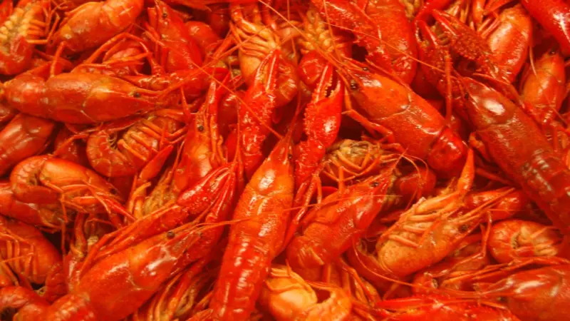 Louisiana crawfish
