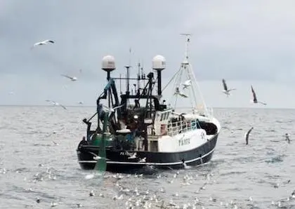 UK fishing