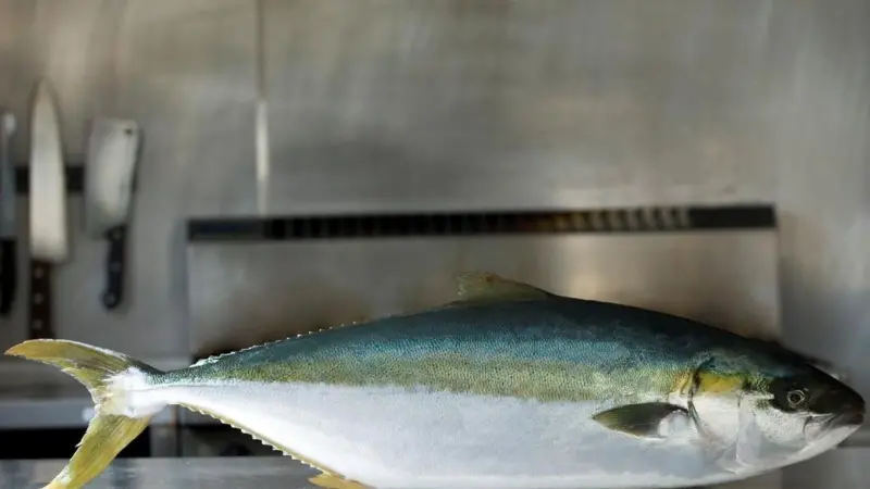 Clean Seas kingfish