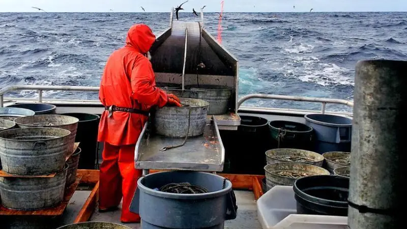 Alaska fisheries