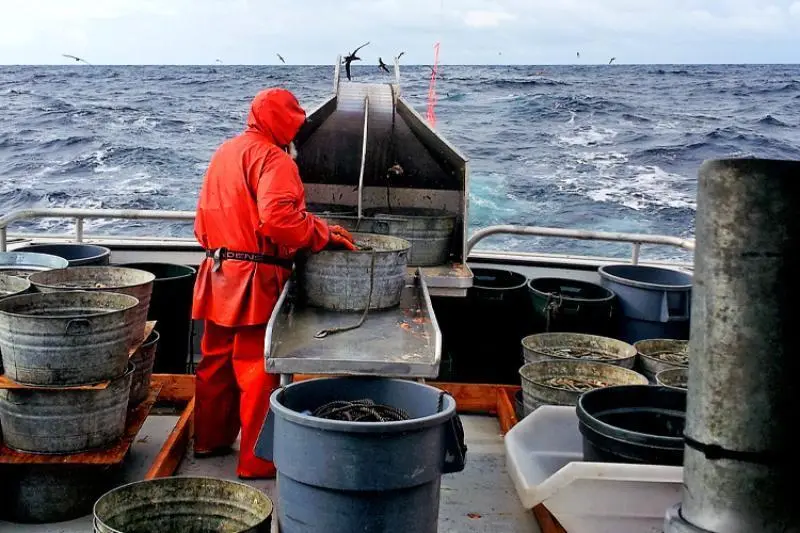Alaska fisheries