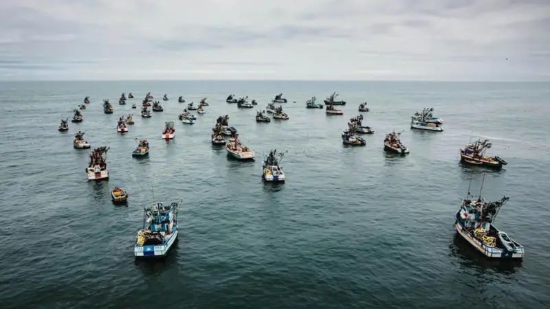 Flotilla of small fishing boats