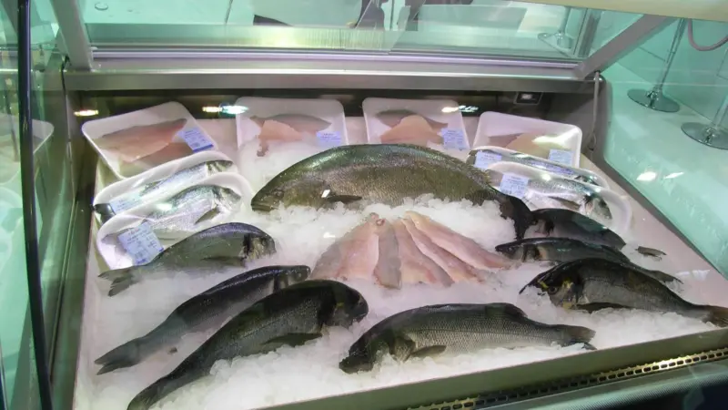 Bass, Bream and Meagre
