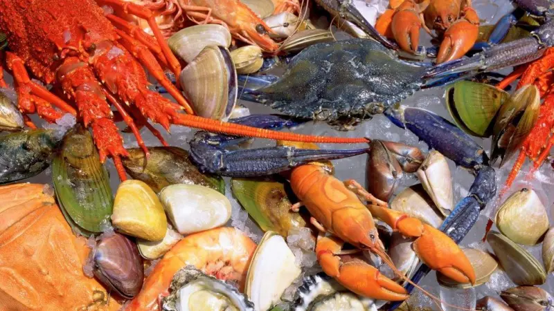 Australian seafood. Credit: Australian Government Department of Agriculture, Fisheries and Forestry