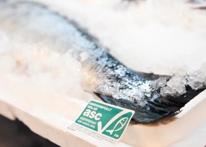 ASC-certified salmon