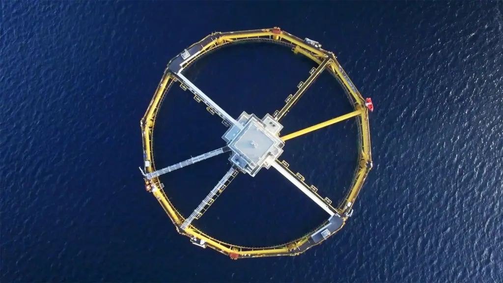 SalMar Ocean Farm 1